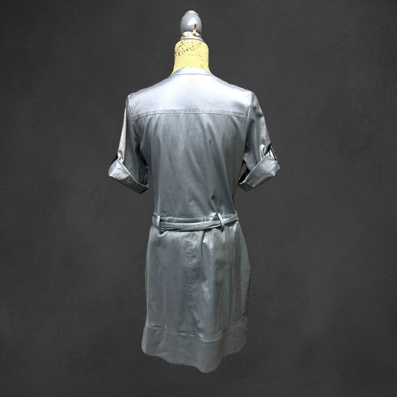 112 - Ruscoe X-Large Silver Dress - Picture 6 of 15